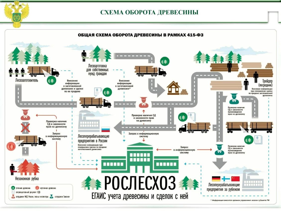 ЕГАИС учета древесины и сделок с ней - Контур.Центральный регион